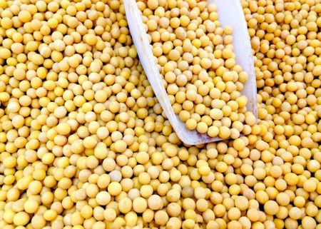 大豆肽粉的作用是什么？那些人不能吃大豆肽粉？