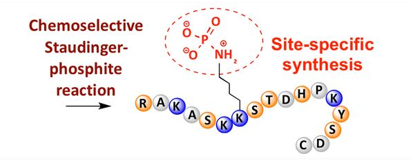 Polypeptide modification