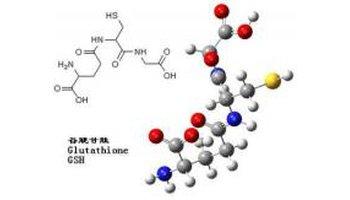 谷胱甘肽是什么？谷胱甘肽的好处和存在形式谷胱甘肽