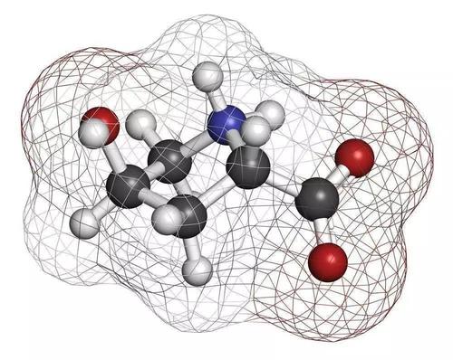 什么是小分子多胶原蛋白肽？小分子多肽胶原蛋白肽有什么作用？