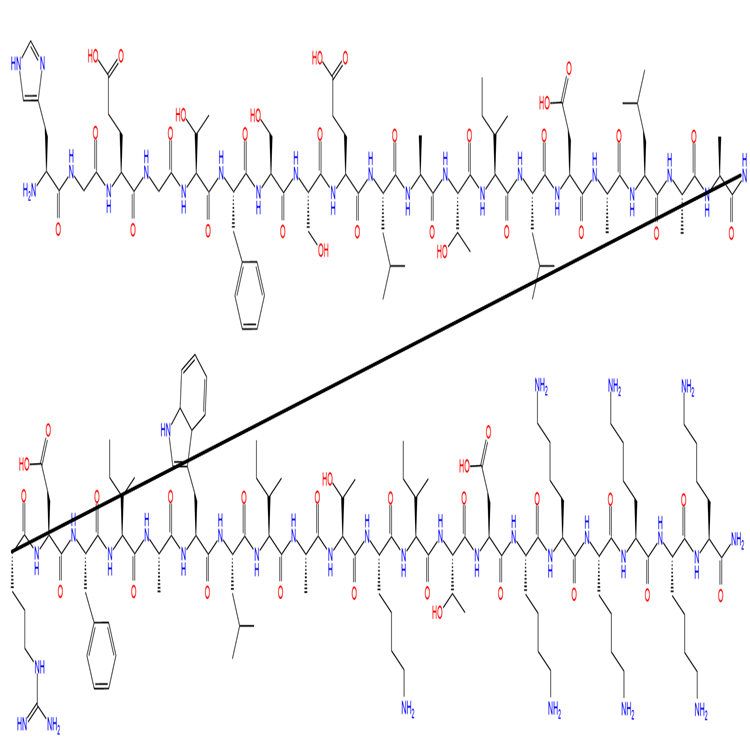 peptide structure.png