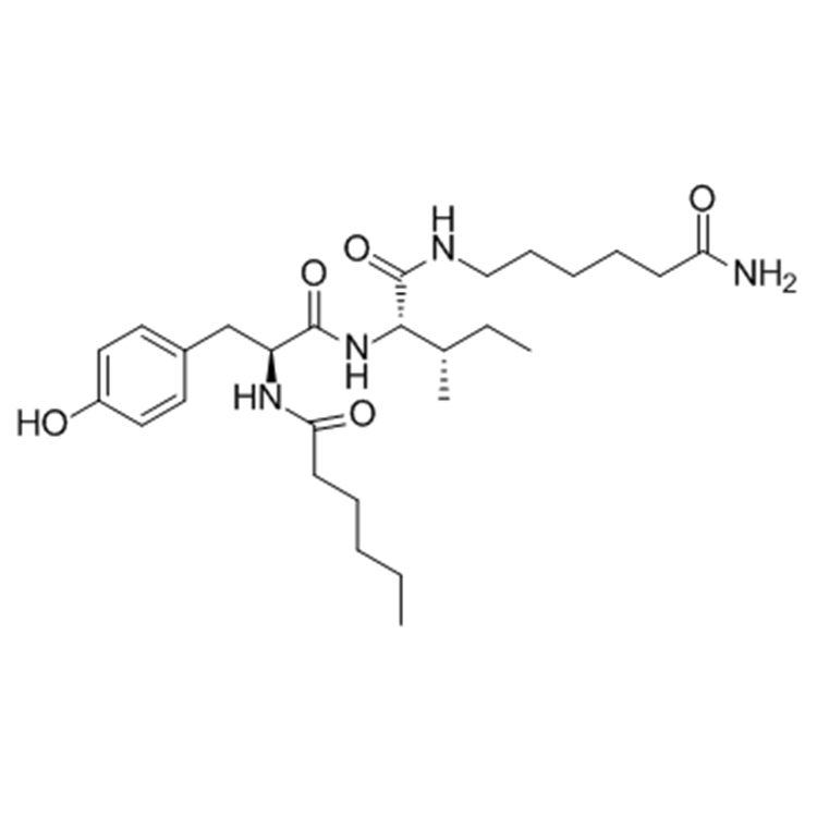 益智二肽，Prebiotic dipeptide