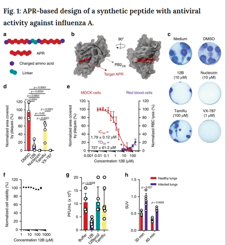  Antiviral amyloid