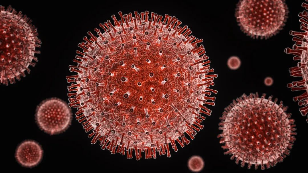 免疫反应新原理有利于抑制新冠病毒