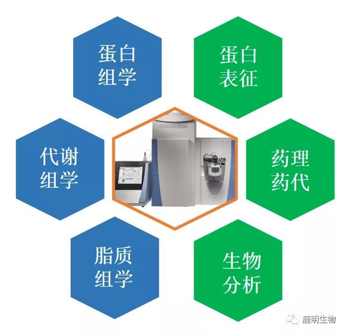 生物药定性分析检验（蛋白质、多肽）、临床医学前DMPK科学研究及微生物剖析、生物药