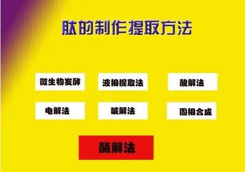 肽的分类有哪些?如何区分小分子小分子活性肽的好坏