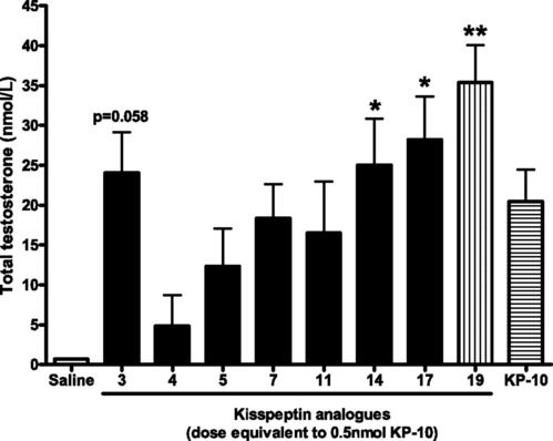 Kisspeptin-10在乳腺癌骨转移和骨毁坏中的功效及机制研究