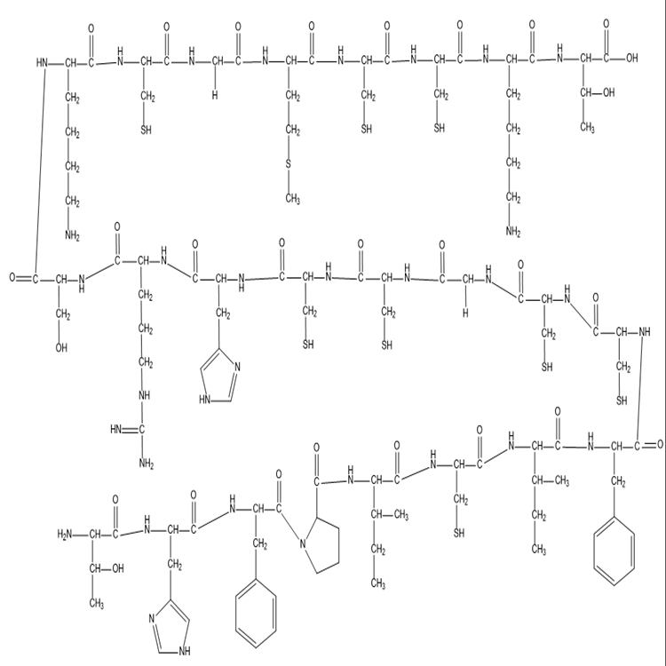 peptide structure of Hepcidin-24 (human).png