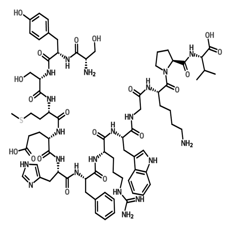 丝拉克肽(1-13)，ACTH (1-13)，22006-64-0