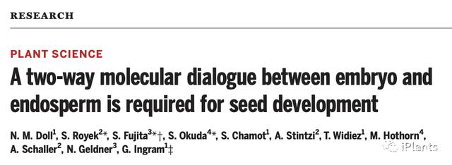 《科学》：发现活性多肽活动对種子生长发育是必不可少的