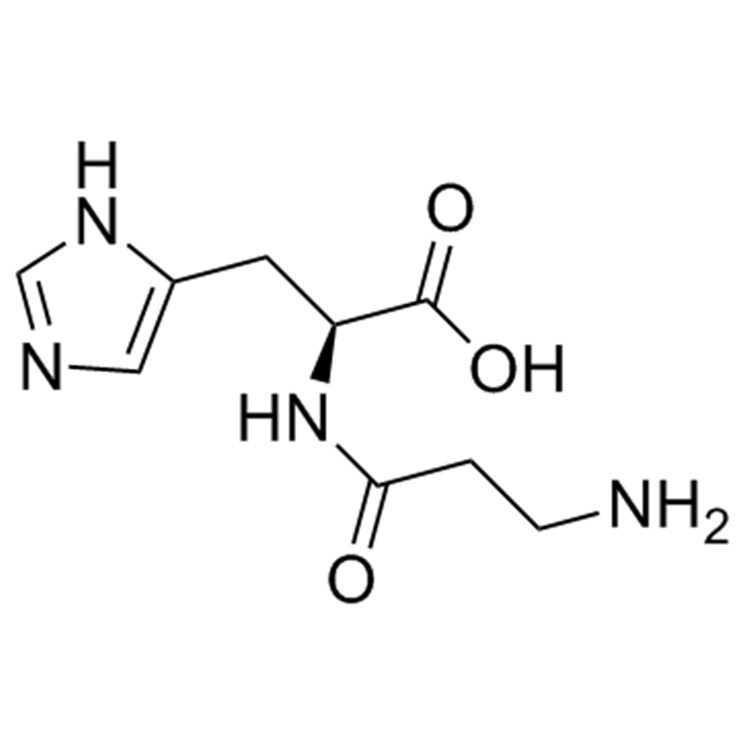 Chemical Structural Formula of Carnosine.png