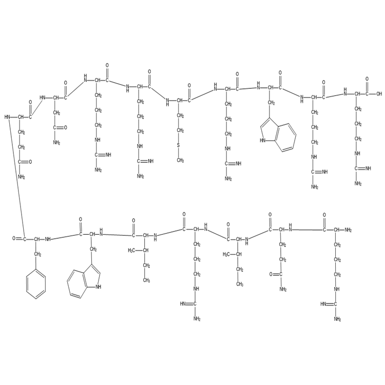 固拓生物多肽合成定制，细胞穿透肽，Penetratin-Arg