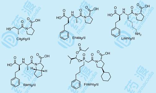 多肽药物研发发展趋势，创新型多肽药物研发活跃、需求旺盛