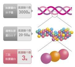 Tripeptide