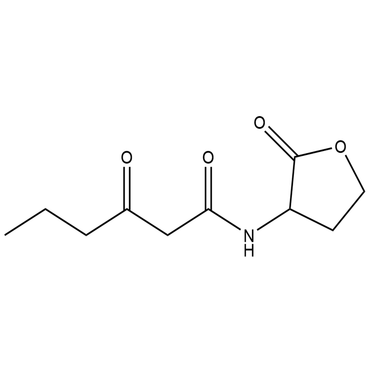 荧光素酶，Luciferase，9014-00-0