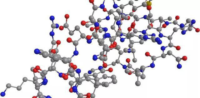 polypeptide