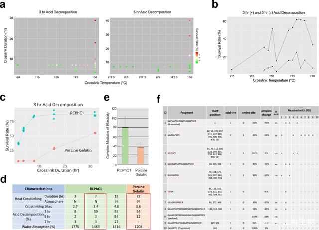 Nature:最新发现人类重组胶原蛋白多肽可作为一种通用的骨移植生物材料