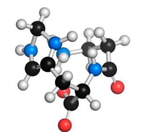 L-肌肽对皮肤的作用与功效，你知道多少？