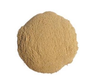 NatMed：精确靶向治疗氨基酸代谢让肿瘤细胞饿到不可以自立