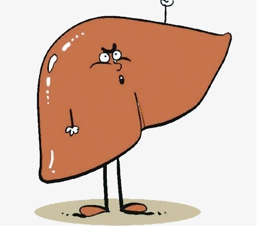 肽能使任何肝病获得改善，是肝和脏最好的休养师！