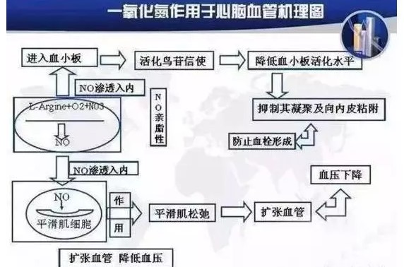固拓生物—小分子肽对血管的重要功效！