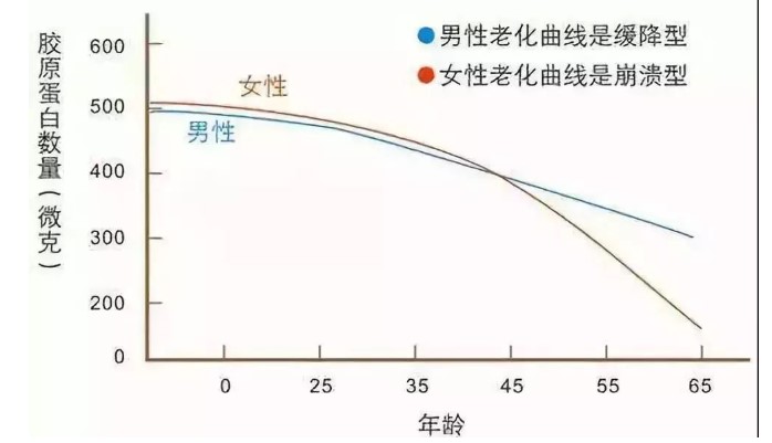 胶原蛋白是啥 ？为什么说它很重要？本文给大家答案