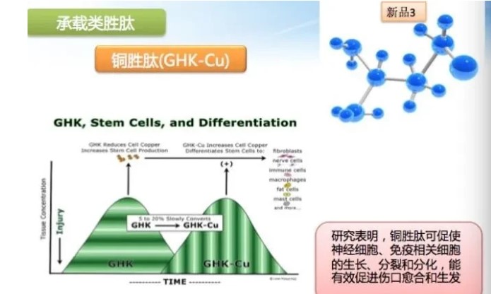 蓝铜胜肽冻干粉修复作用 怎样？带你了解一下！