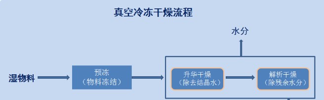 冻干粉走红，冻干技术有目共睹