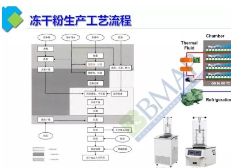 冻干粉走红，冻干技术有目共睹