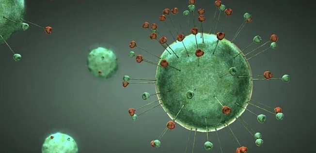 不抑止只运用就可以减少HIV感柒的多肽 ，您有想过吗？