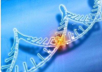 生物学家有关十肽-12decapeptide-12对肌肤调亮系统的科学研究评定