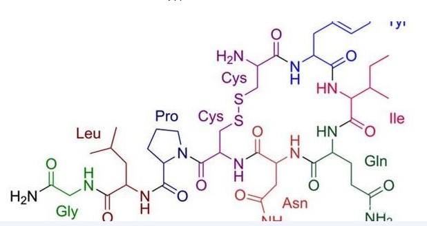 调节分子：研究表明催产素有利于人的大脑调节社会讯号