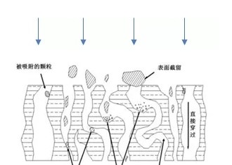 如何提高抗体纯化高效率？ 今日聊一聊离心、过滤