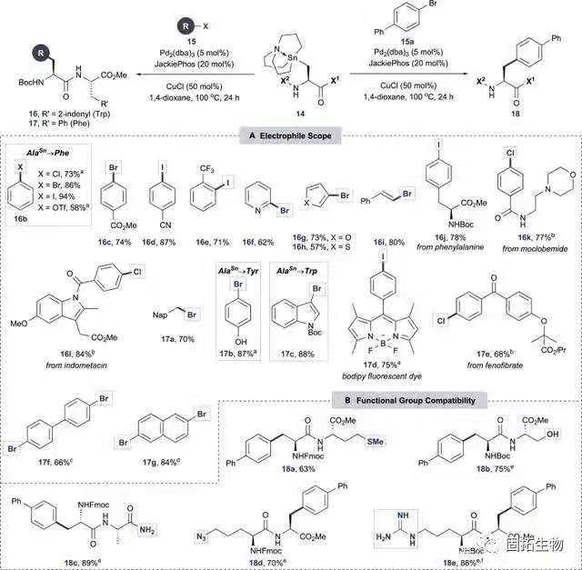 多肽功能化的选择性修饰