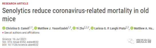 在临床前动物中，抗衰老药物可降低冠状病毒相关的死亡率