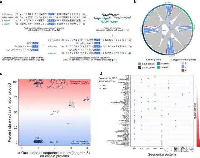 科学家探索264个肽的位点特异性糖基化，研究肽序列表征驱动机理