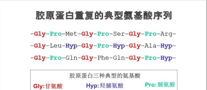 3种典型性氨基酸在胶原蛋白生成中的功效