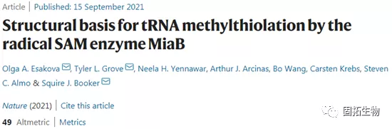 揭示tRNA甲硫醇化修饰的关键步骤