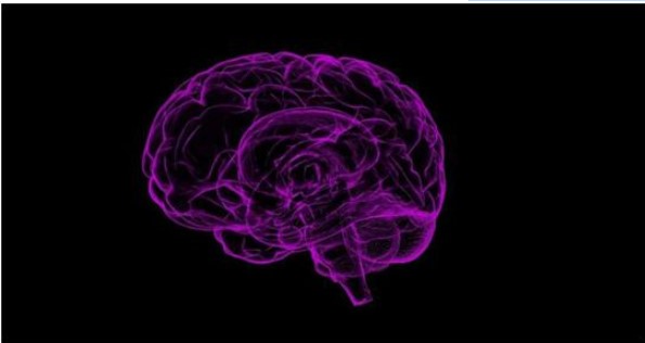 新研究提供调控人的大脑病症中有害蛋白质的分子体制