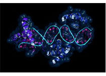非编码RNA编码小肽研究领域获得进度 