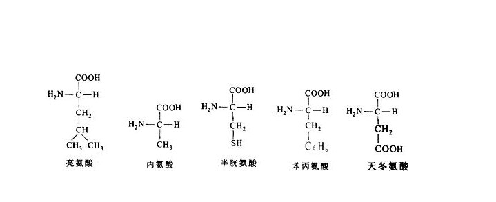 非天然氨基酸的应用现状和前景