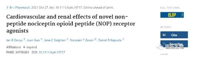 新型非肽伤害感受素阿片肽 (NOP) 受体激动剂对心血管和肾脏的影响