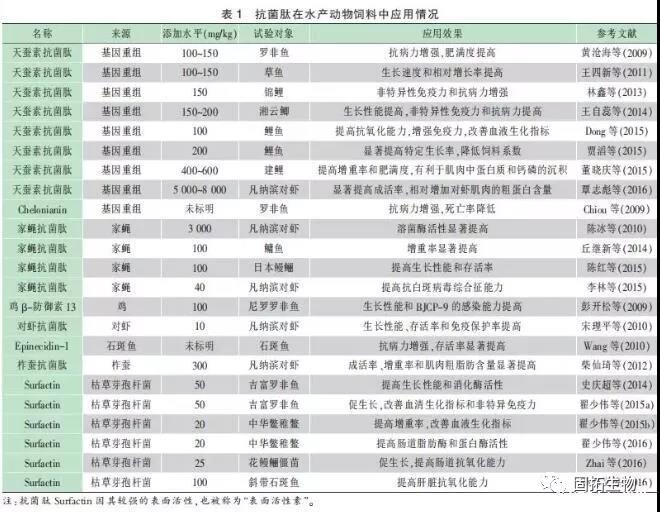 抗菌肽是抗生素吗？抗菌肽的作用与应用