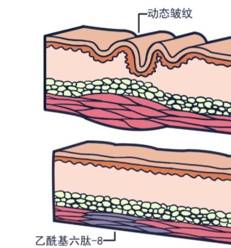 我是美容护肤多肽 ，一个 平平无奇的成份小天才