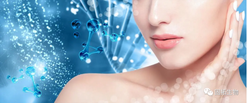 生物美容多肽目前有怎样的进展，其在化妆品中有哪些应用？