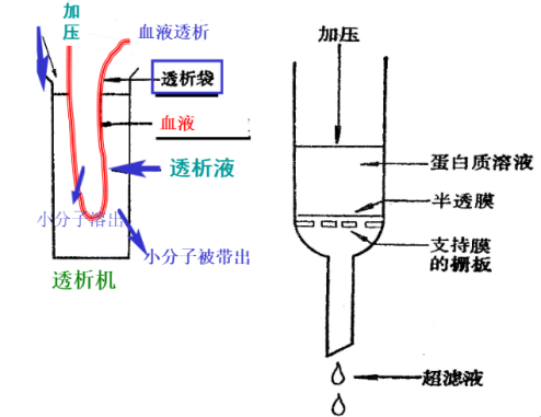 简述蛋白质、多肽液相色谱纯化方法及准备工作