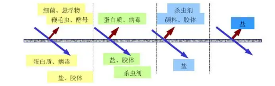 多肽的纯化使用膜分离技术有哪些优势