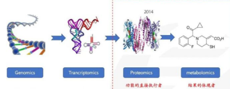 什么是生物标志物？如何对多肽进行生物标志物鉴定？