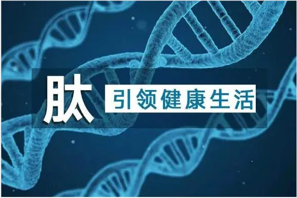 CDMO多肽创新药物、原料药工业化项目可行性研究报告