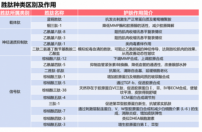 解锁抗衰老新“肽“度